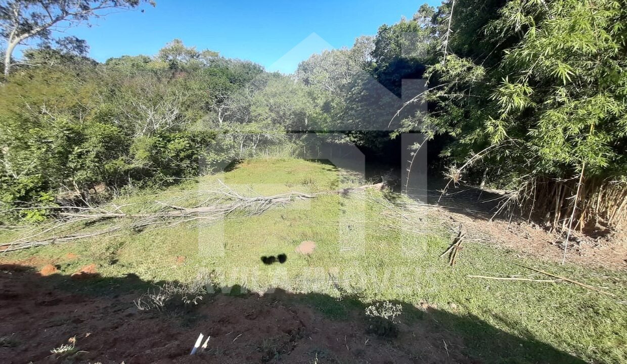 1333 (2)